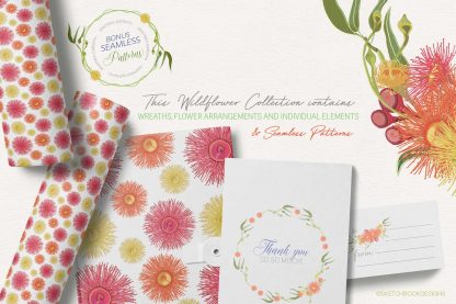 Australian Wildflower Design Collection