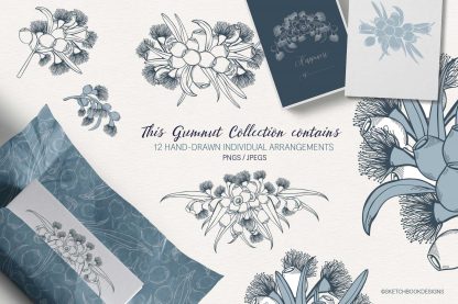 Hand Drawn Gumnut Clipart Collection